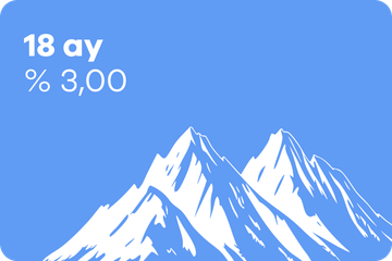 18 ay vadeli mevduat – % 3,00