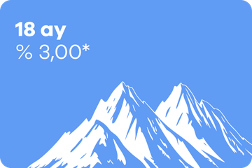 18 ay vadeli mevduat – % 3,00
