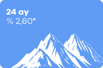 24 ay Hesap Cüzdanı – % 2,60